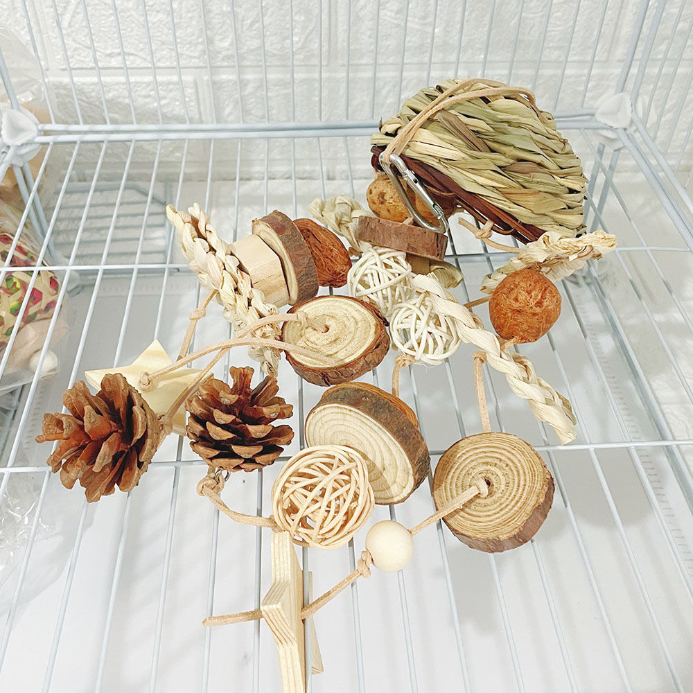 Parrot Chew Toys Natural Fruit Hanging String Corn Husk Chewing Toy Bird Supplies Cage Pendant