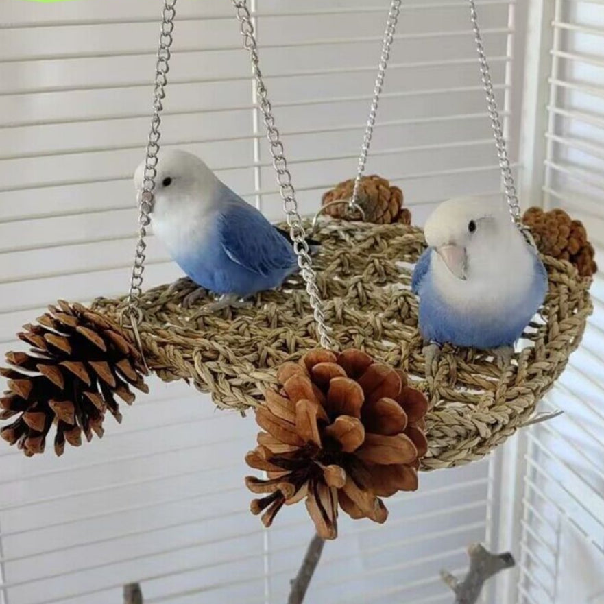 Parrot Climbing Net Hammock Bird Chewing Sugar Glider Small Pet Entertainment Swing Budgie Bird Cage Equipment
