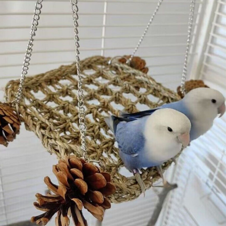 Parrot Climbing Net Hammock Bird Chewing Sugar Glider Small Pet Entertainment Swing Budgie Bird Cage Equipment