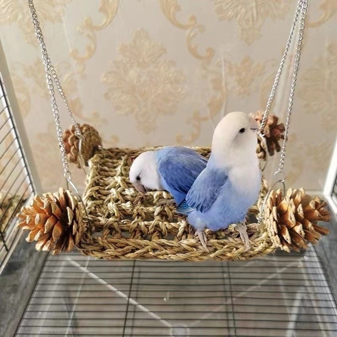 Parrot Climbing Net Hammock Bird Chewing Sugar Glider Small Pet Entertainment Swing Budgie Bird Cage Equipment